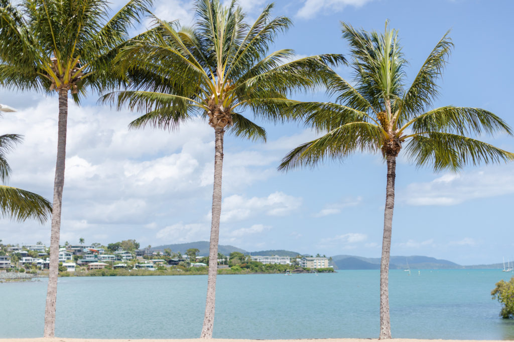 Things to do in Airlie Beach foreshore